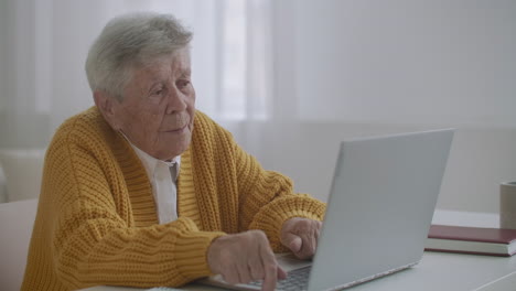 Eine-Alte-Frau-Spricht-Mit-Ihrer-Enkelin-Per-Videoanruf-über-Einen-Laptop.-Videokonferenz-Mit-Einem-Arzt